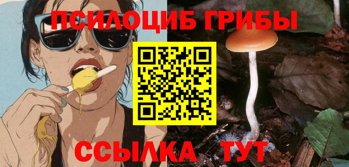 Галлюциногенные грибы Psilocybe  магазин продажи наркотиков  Мурманск  Галлюциногенные грибы Magic Shrooms  Вход с VPN 